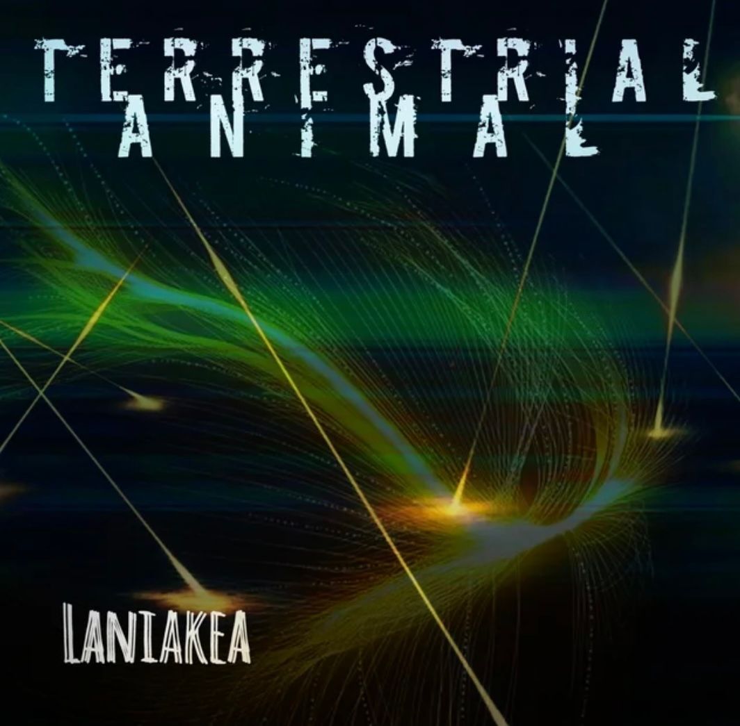 Song Review | "Laniakea" - Terrestrial Animal