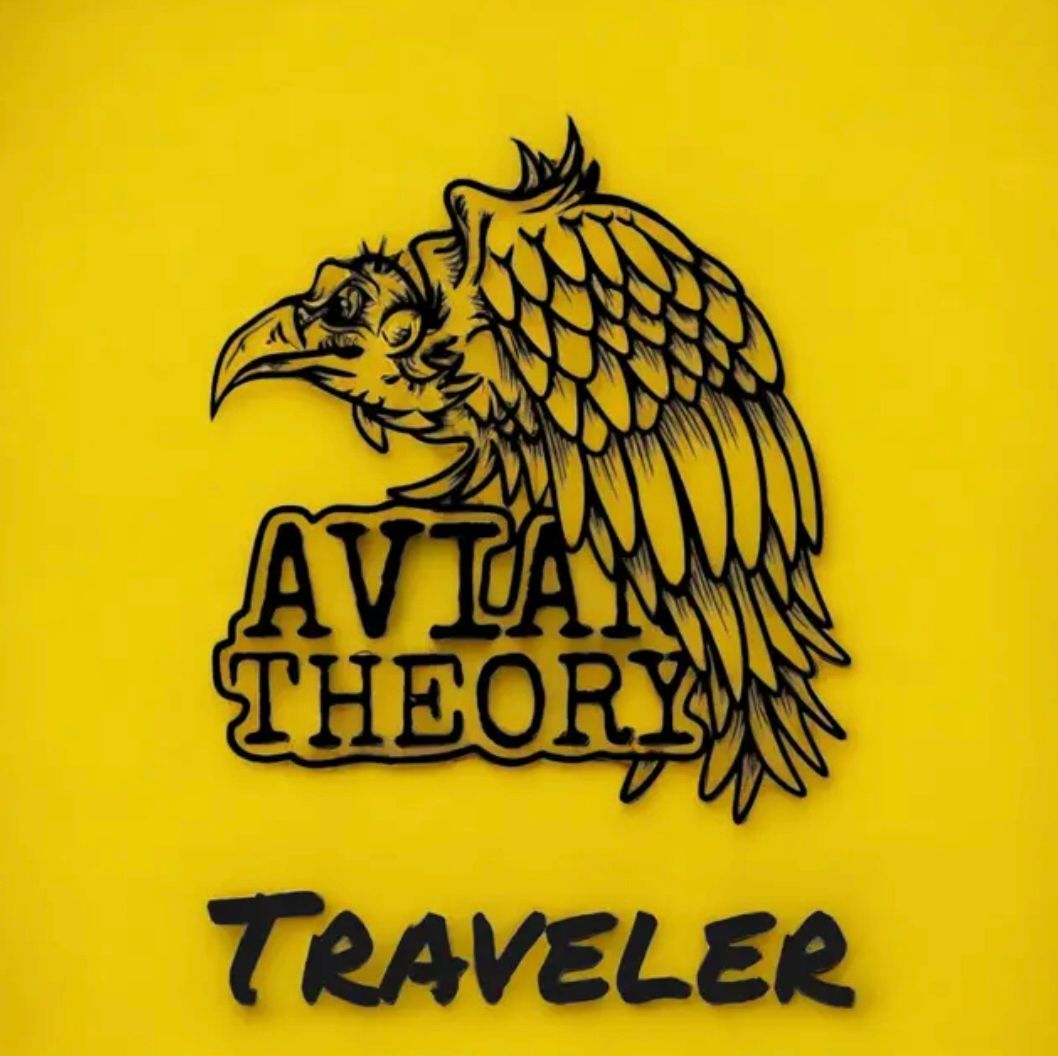 Song Review | "Traveler"  - Avian Theory